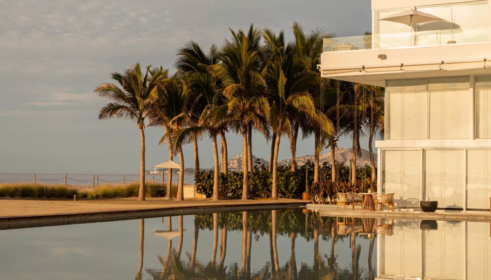 Poolside at Los Cabos with beautiful palm trees and a view of the ocean 