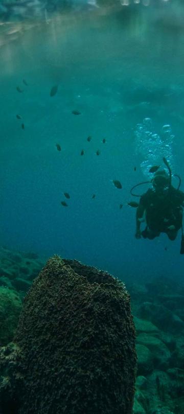 A man scuba diving