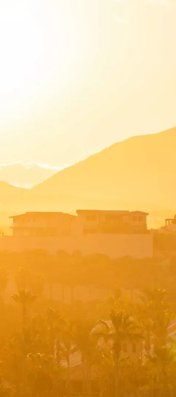 The sun over Los Cabos making everything look golden