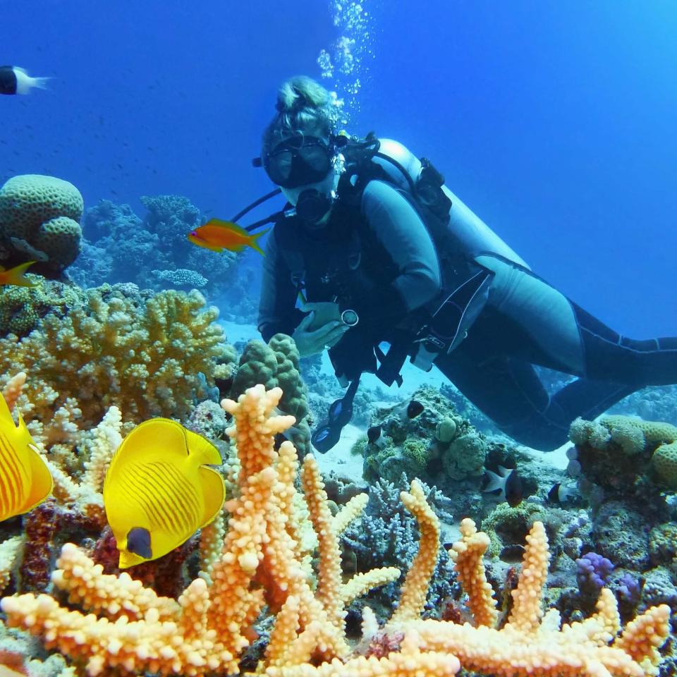 Scuba Snorkling