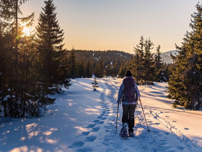 person snowshoeing through forested area at sunset
