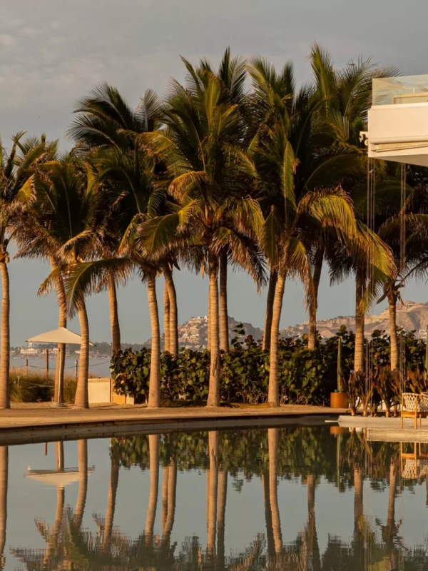 Poolside at Los Cabos with beautiful palm trees and a view of the ocean 